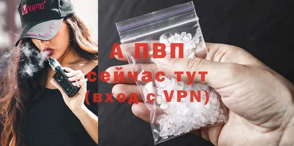 дмт Абаза